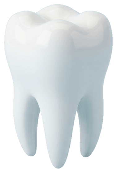 Prótesis dental fija de Oleoden en detalle